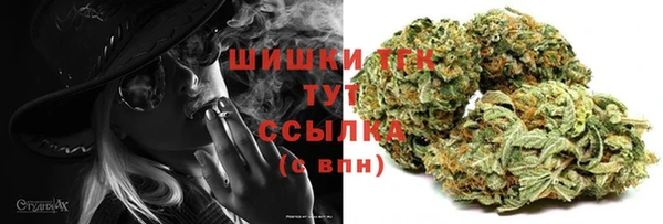 ешки Белокуриха