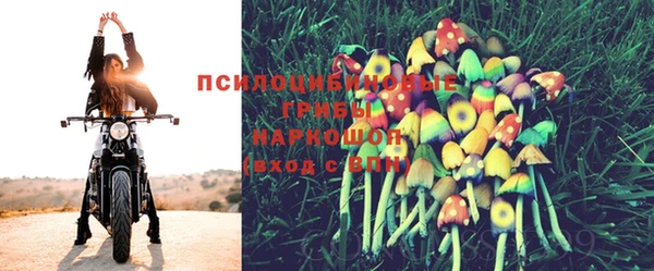 мдпв Беломорск