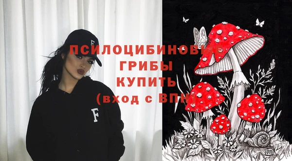 мдпв Беломорск