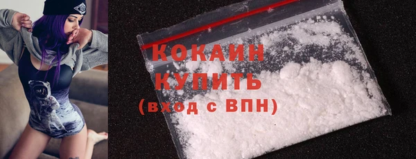 ешки Белокуриха