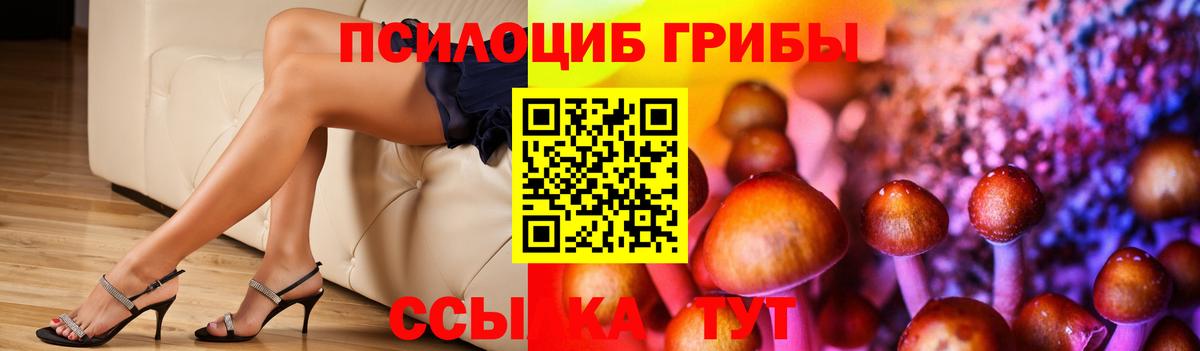 Галлюциногенные грибы прущие грибы  Вход с VPN  Галлюциногенные грибы MAGIC MUSHROOMS  Благодарный 